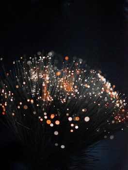 macro photography of orange fiber optic lamp